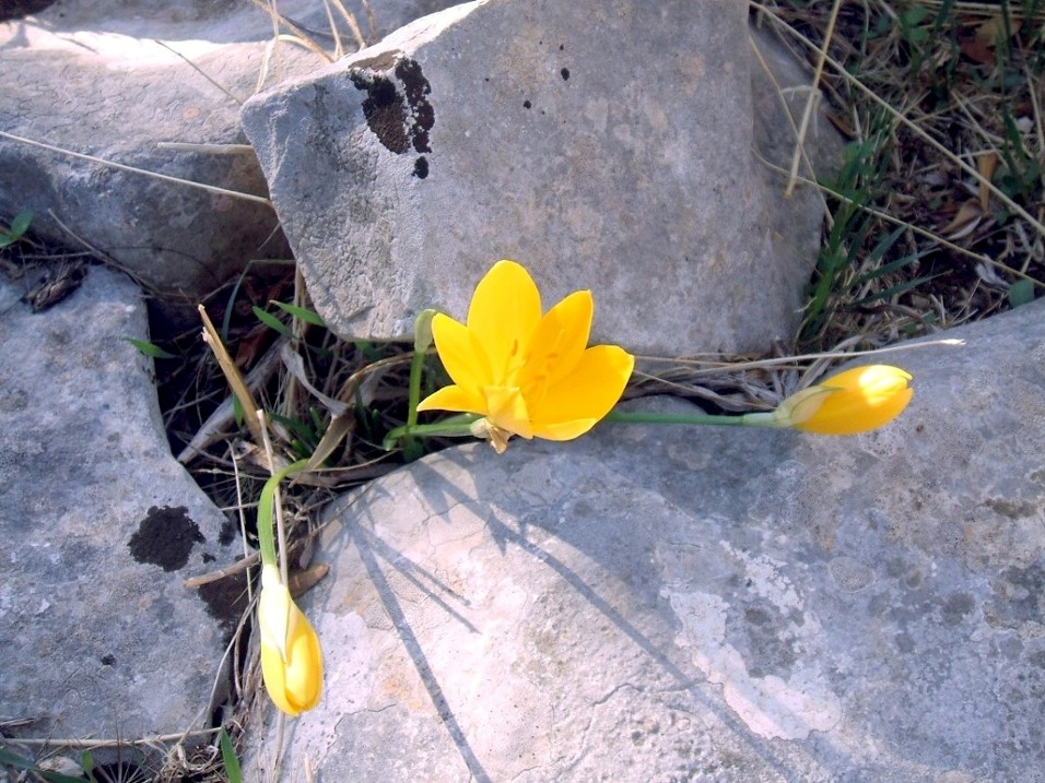 I colori del Gargano